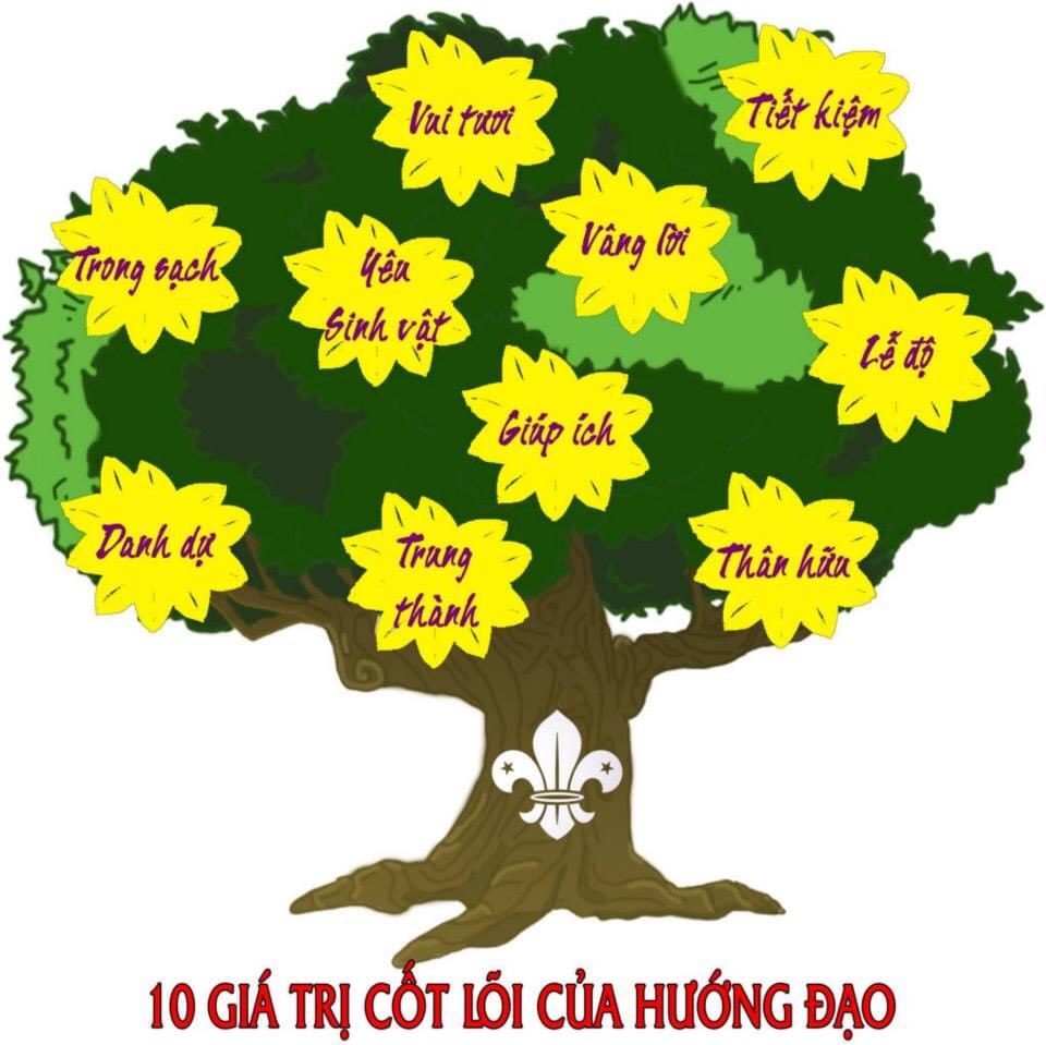 10 giá trị cốt lõi của hướng đạo